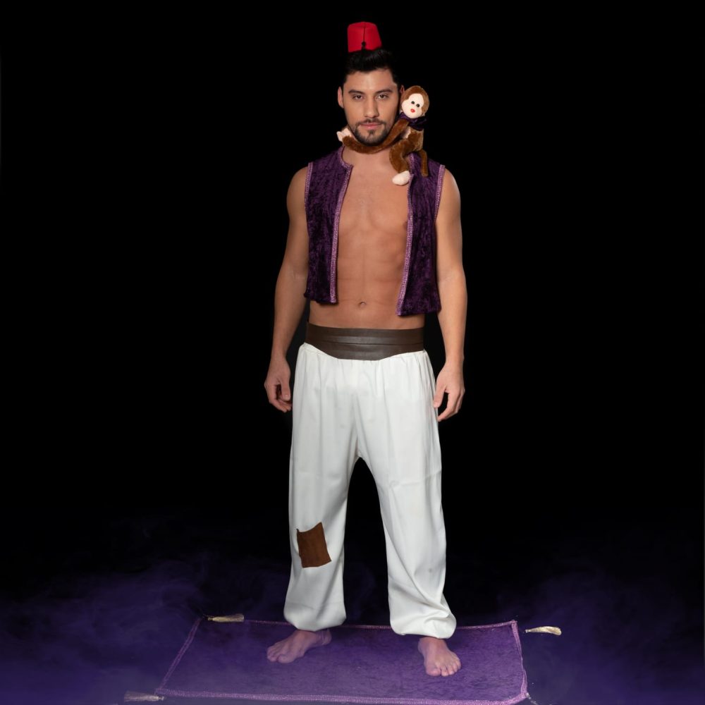 ⁦אלדין ויסמין השכרה⁩ – תמונה ⁦3⁩